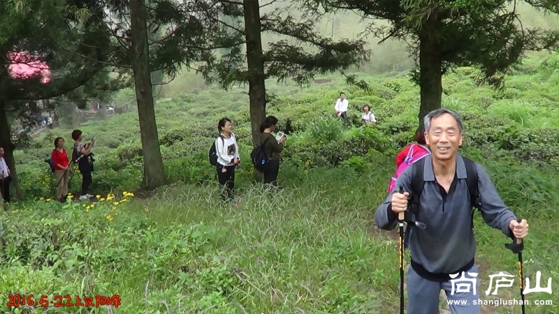 上汉阳峰12.jpg