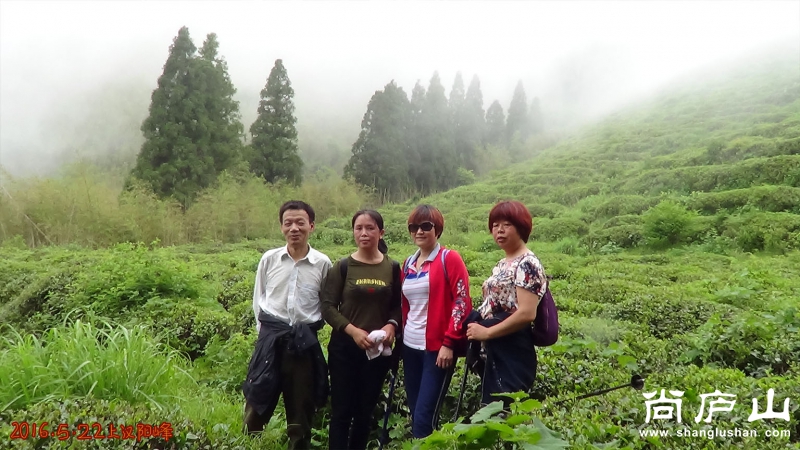 上汉阳峰13.jpg
