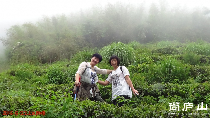 上汉阳峰18.jpg