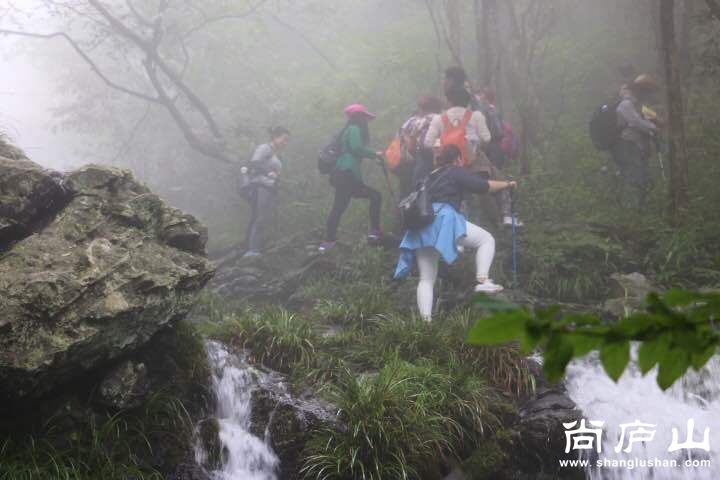 QQ图片20160604090335.jpg