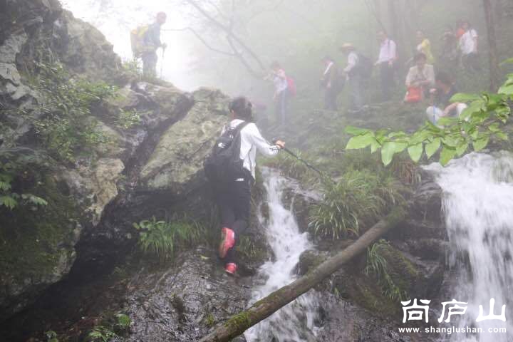 QQ图片20160604090241.jpg