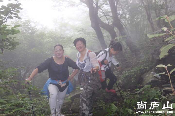 QQ图片20160604090341.jpg