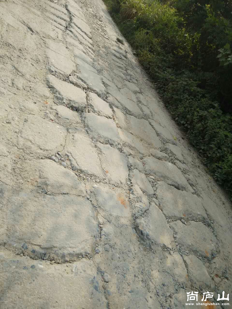 mmexport1465691864214.jpg