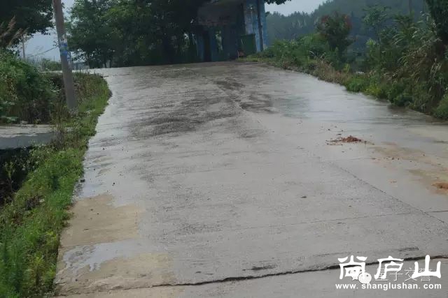 4_结果.jpg