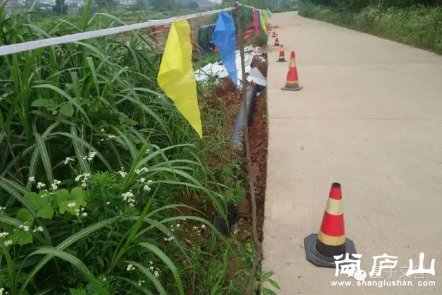5_结果.jpg