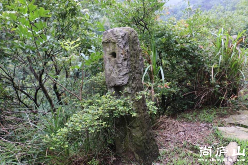 QQ图片20160628063319.jpg
