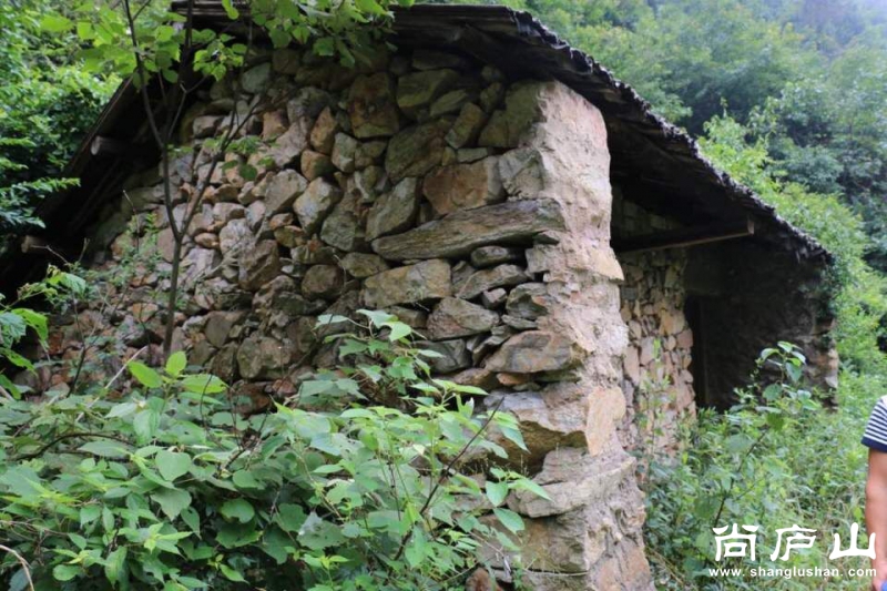 QQ图片20160628063338.jpg