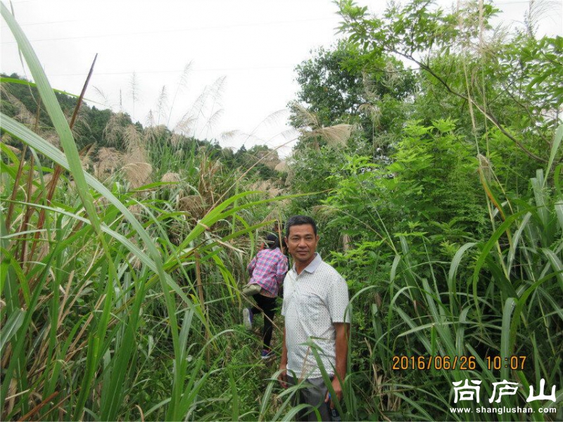QQ图片20160628063623.jpg