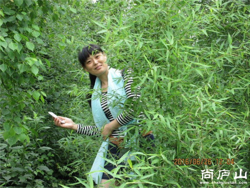 QQ图片20160628063828.jpg