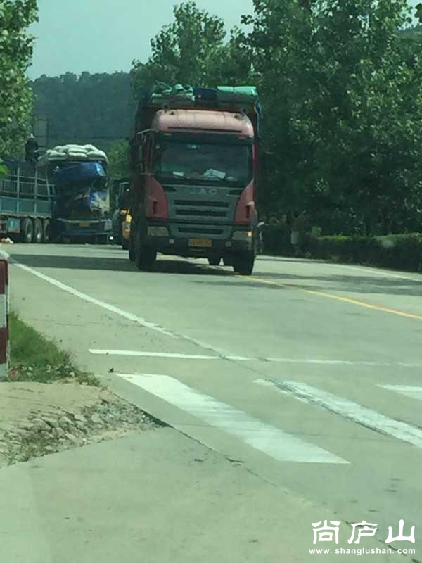 image.jpeg