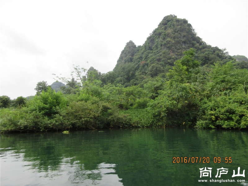 IMG_9748.jpg