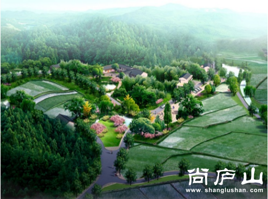 城乡统筹管理好乡村.png