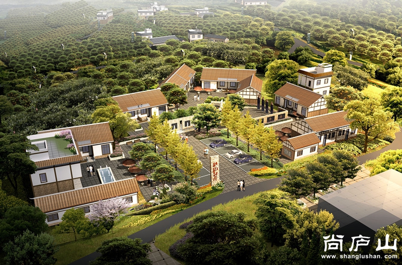 新农村建设.jpg