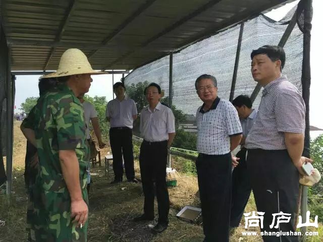 3_结果.jpg