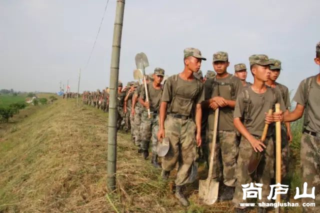 10_结果.jpg