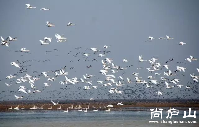 21_结果.jpg