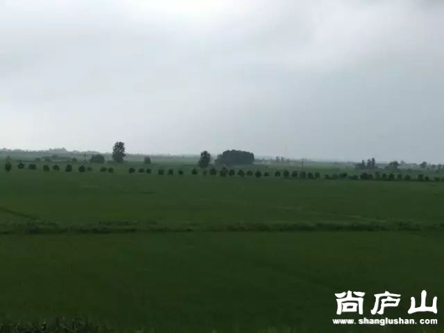 20_结果.jpg