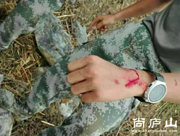 QQ图片20160806190141.png
