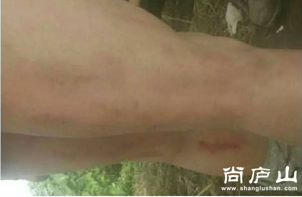 QQ图片20160806190157.png