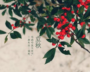 t01cb1480667cf5178f.jpg