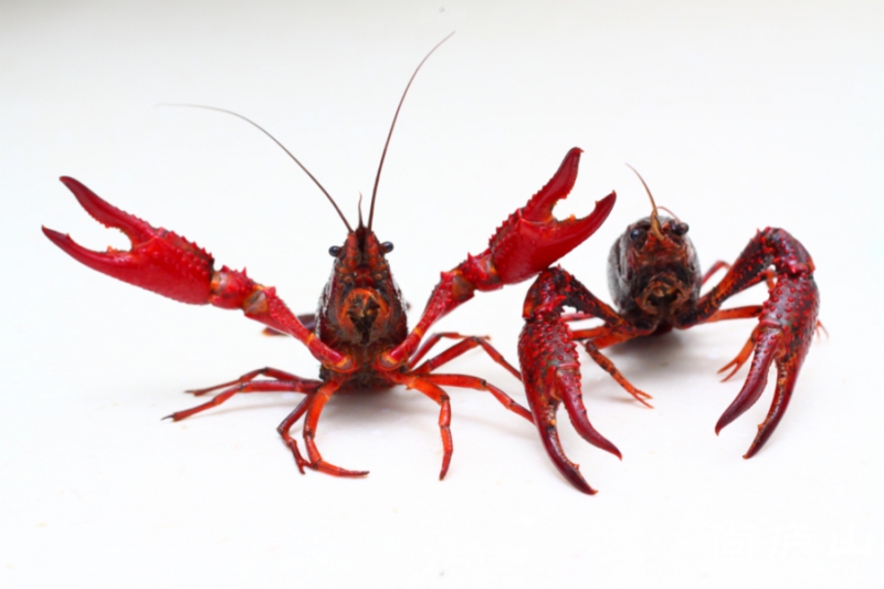 2010082520251030.jpg