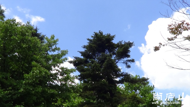 庐山天空6.jpg