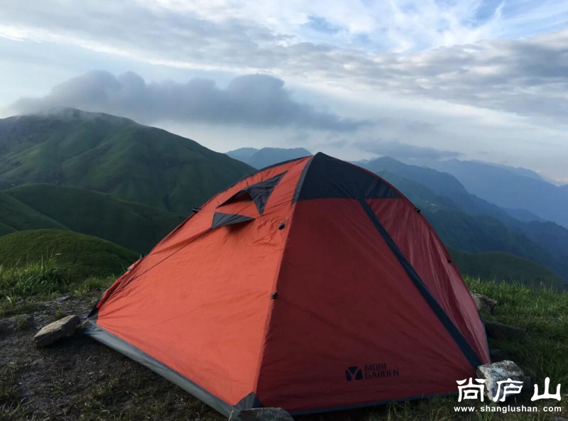搭建起来的效果