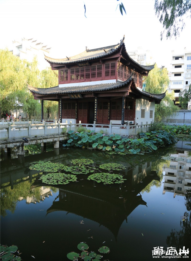 爱莲池的早晨拍于2016811