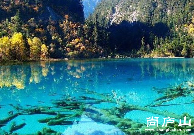 九寨沟.jpg