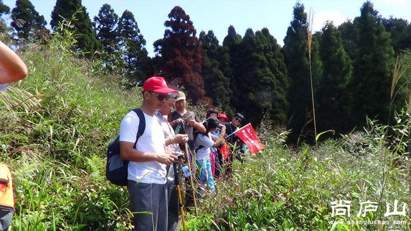 驴行汉阳峰5.jpg