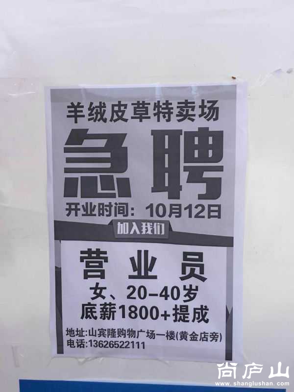 176319