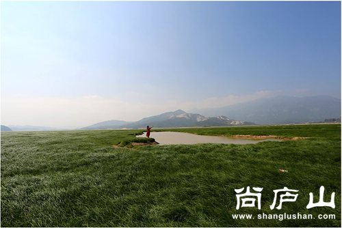 QQ截图20161012135956.png