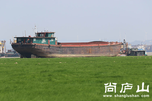 QQ截图20161012140025.png