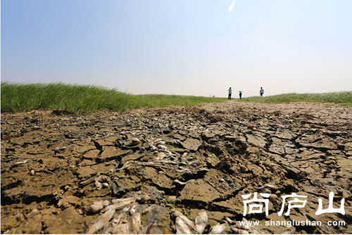 QQ截图20161012140050.png