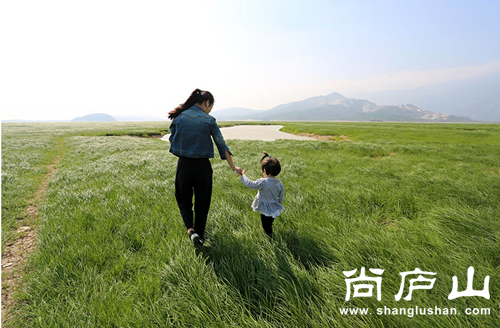 QQ截图20161012140120.png