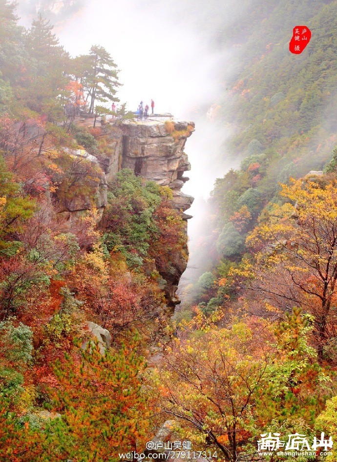 庐山即将进入赏枫季