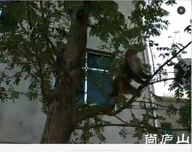 QQ图片20161102134626.png