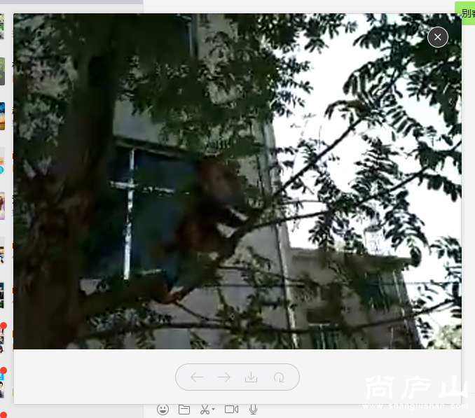 QQ图片20161102134657.png