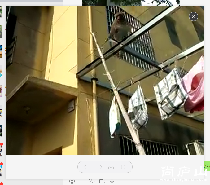QQ图片20161102134722.png