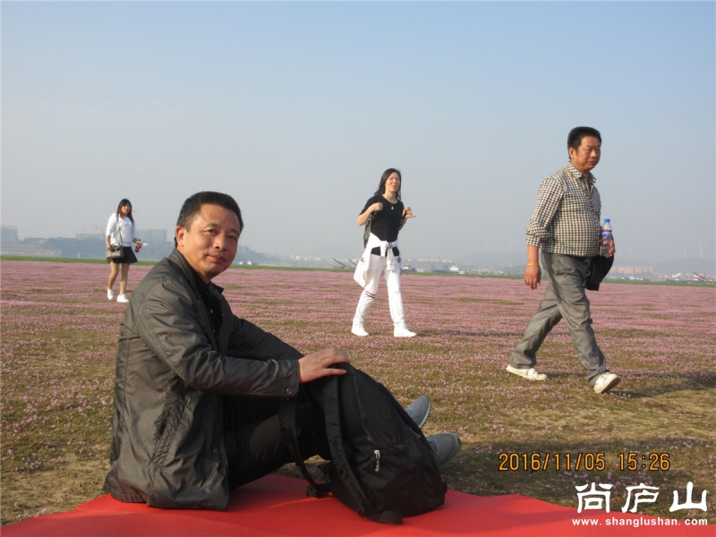 IMG_4375.jpg