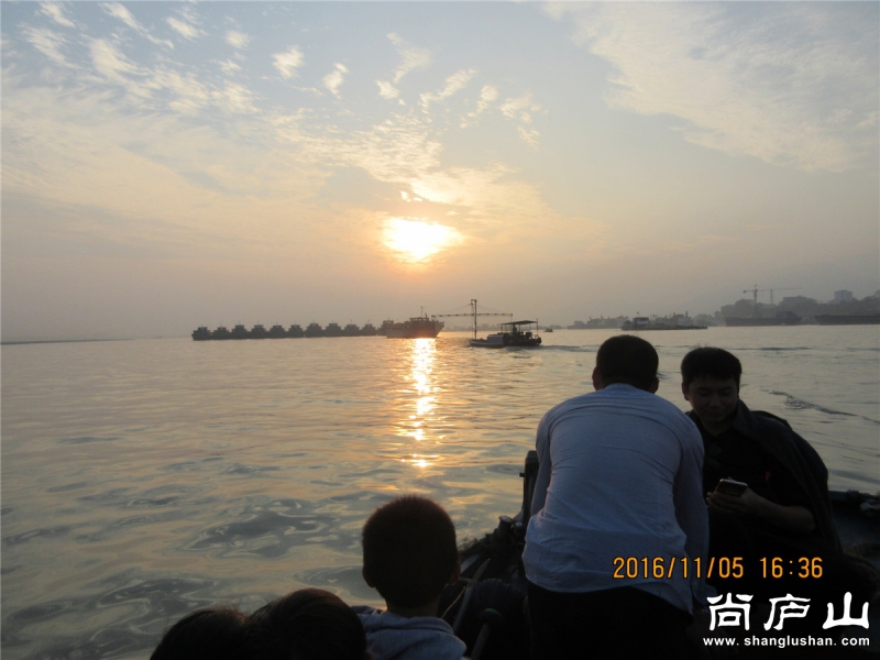IMG_4582.jpg