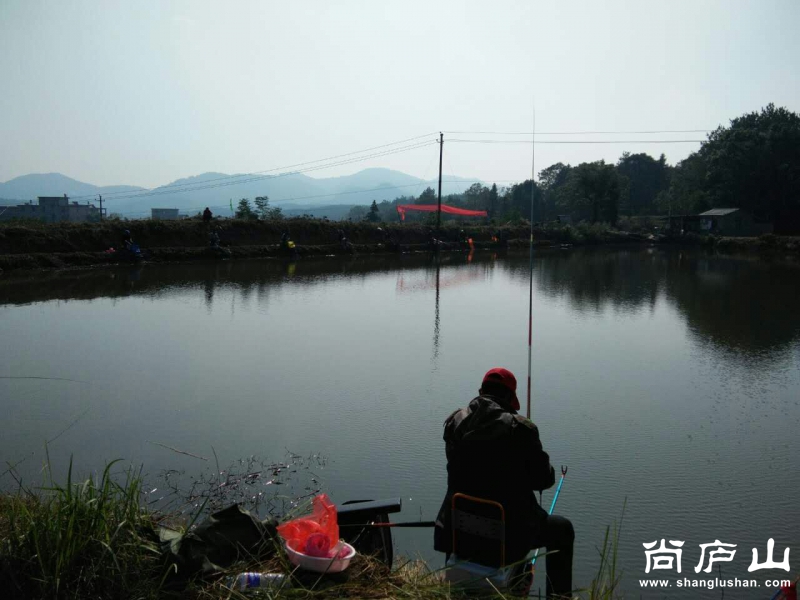 QQ图片20161106140750.jpg