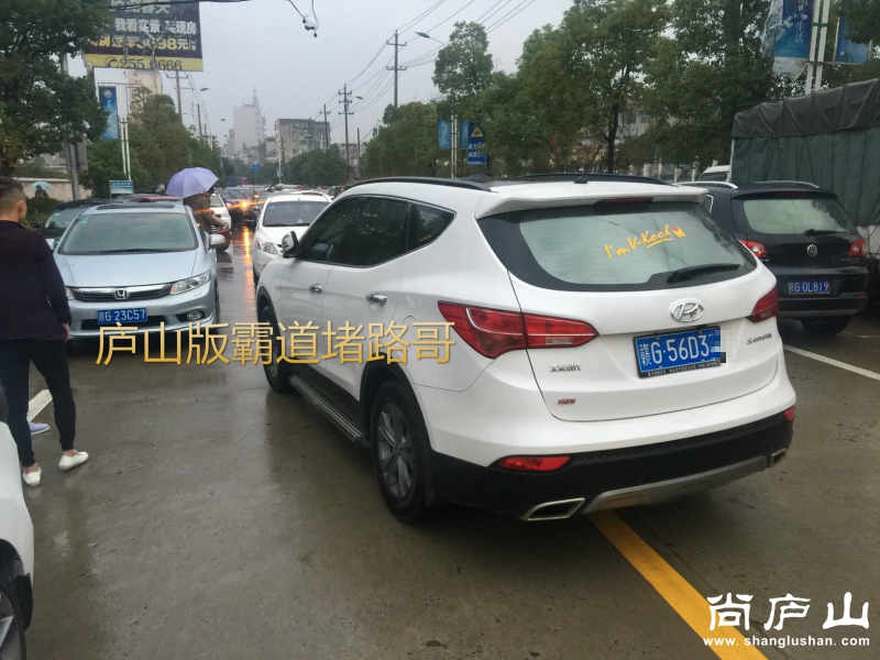 IMG_0979_meitu_1.jpg