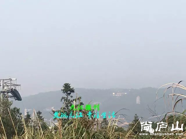 10_结果.jpg