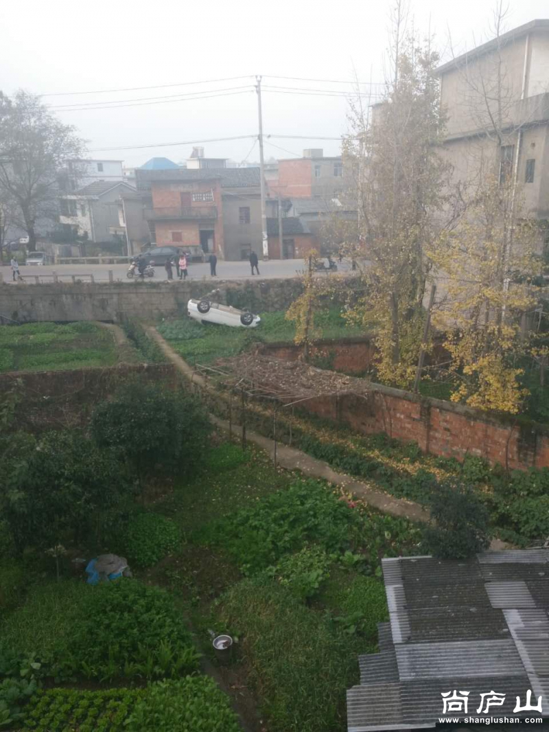 尚庐山_20161204_075241 (1).jpg
