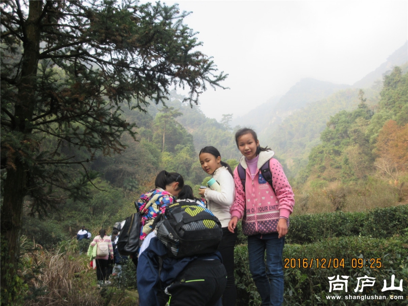 IMG_5672.jpg