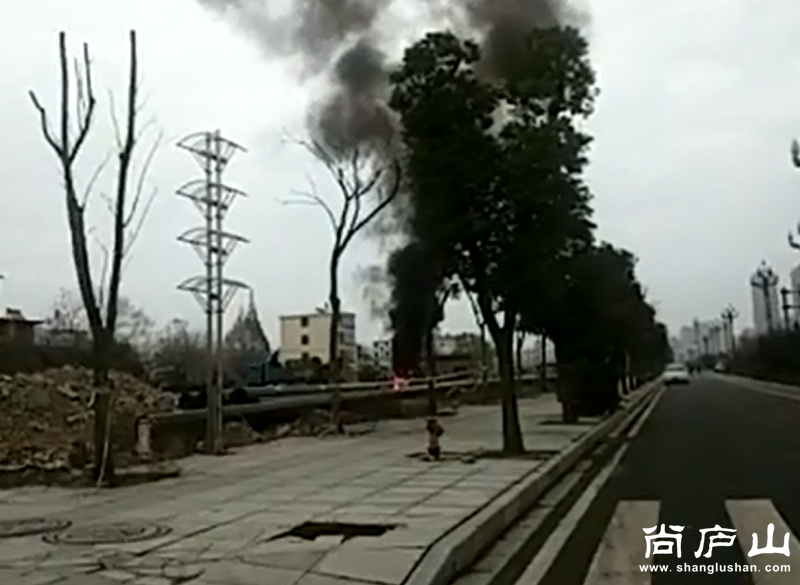 搜狗截图16年12月19日1717_2.png