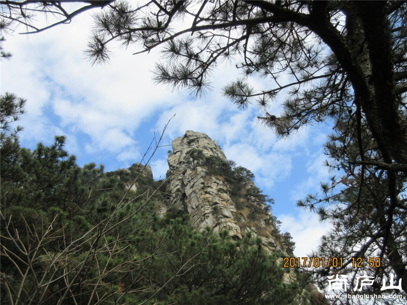 IMG_8118.jpg