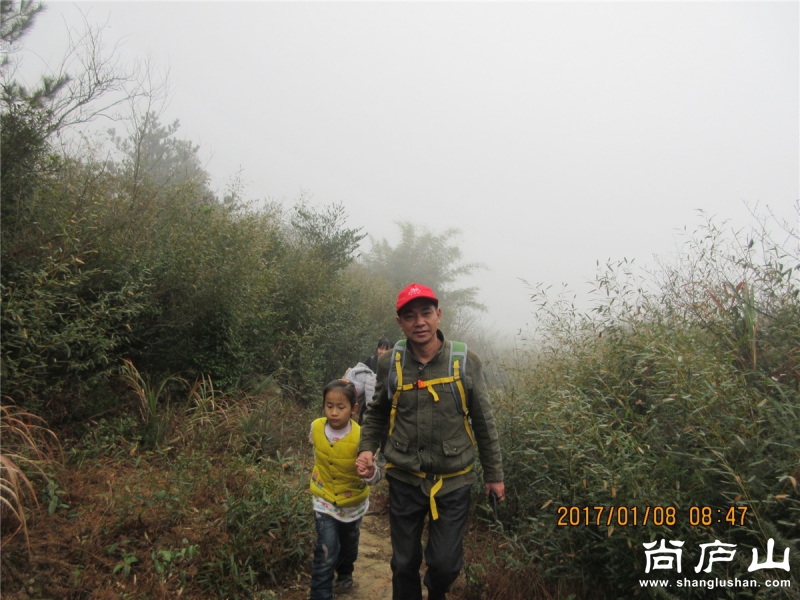 IMG_8235.jpg