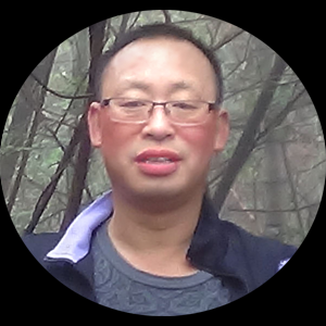 梨山呆木.png